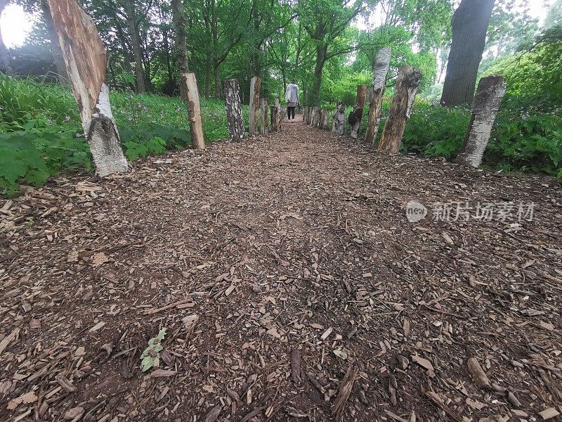 在Volksgarten Düsseldorf赤脚行走，与地球母亲建立深深的联系